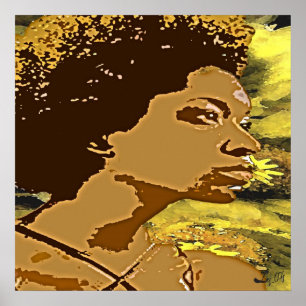 Poster tournesol ocun