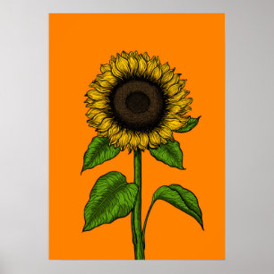 Poster Tournesol orange