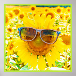 Poster Tournesol Shades Chic