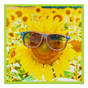 Poster Tournesol Shades Chic