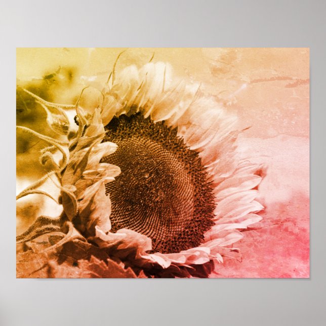 Poster Tournesol Souriant Noir Et Blanc Perdu (Devant)