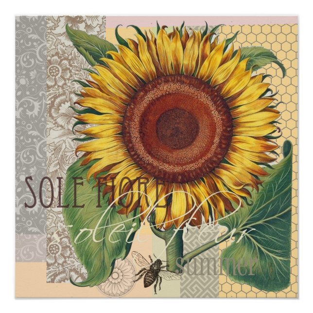Poster Tournesol Vintage Damas Fleur Art (Devant)
