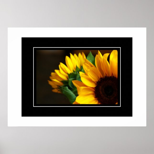 Poster Tournesols (Devant)