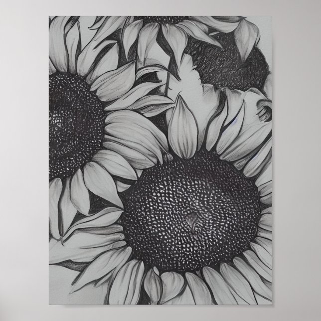 Poster Tournesols dessinés au crayon (Devant)
