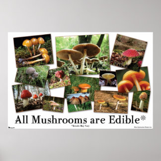 Poster Tous Les Champignons Sont Comestibles*