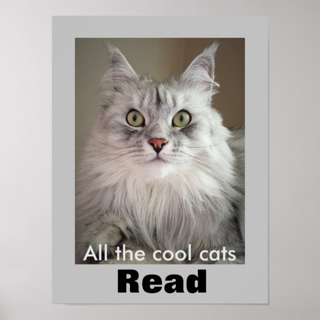 Poster Tous les chats Cool Lire (Poster de l'alphabétisat (Devant)