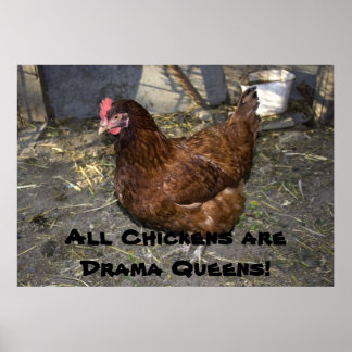Poster Tous les poulets sont des reines dramatiques !