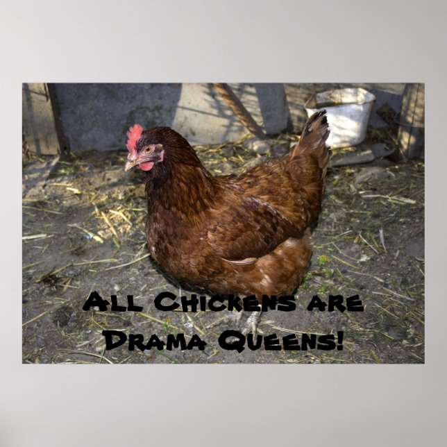 Poster Tous les poulets sont des reines dramatiques ! (Devant)