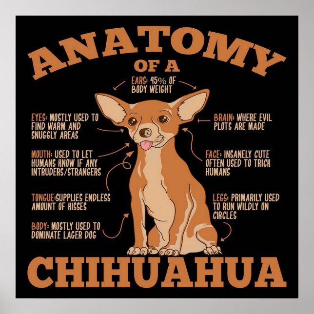 Poster Tout ce dont vous avez besoin | Chihuahua Dog | Ch (Devant)