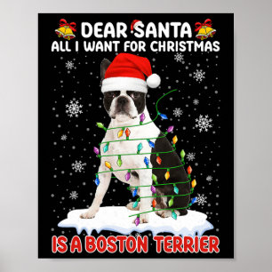 Poster Tout Ce Que Je Veux Pour Noël Est Boston Terrier P