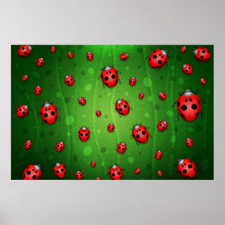 Poster Tout est plein de coccinelles