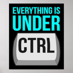 Poster Tout est sous contrôle Informatique