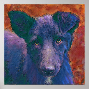 Poster tout le chien américain