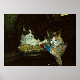 Poster Tout m'appartient