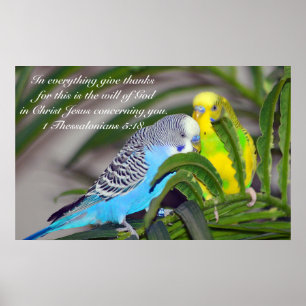 Poster Tout rend grâce