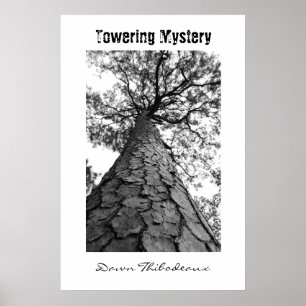 Poster Towering Mystery