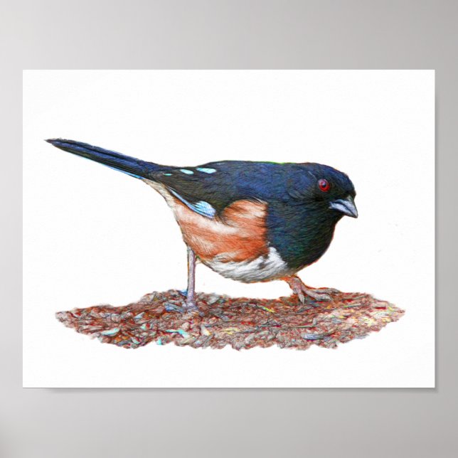 Poster Towhee (Devant)