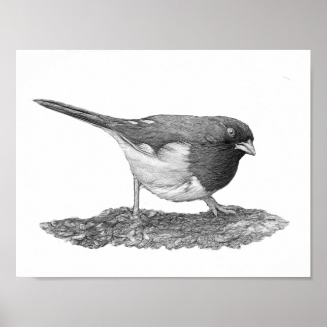 Poster Towhee orientale (Devant)
