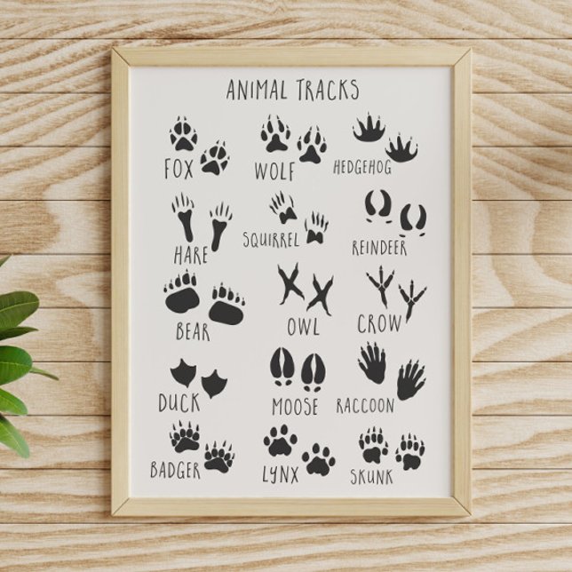 Poster Traces d'animaux  (Créateur téléchargé)