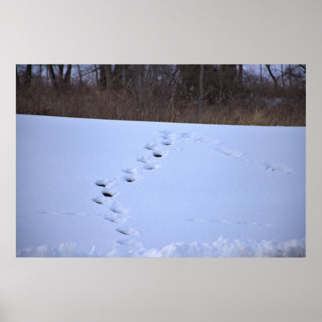 Poster Tracks dans la neige (Devant)
