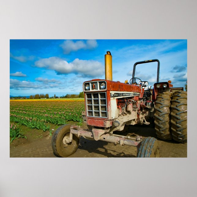 Poster Tracteur dans les champs de tulipe (Devant)