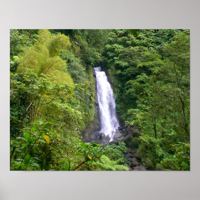 Poster Trafalgar Falls, Dominique, Antilles (Devant)