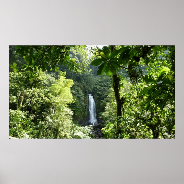Poster Trafalgar Falls Tropical Rainforest Photographie (Devant)