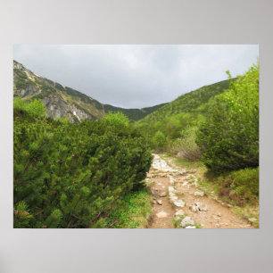 Poster Trail - Tatras Slovaquie