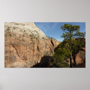 Poster Trail to Angels Landing in Zion National Park