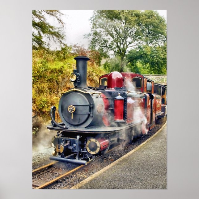 POSTER TRAIN À VAPEUR (Devant)
