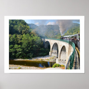 Poster Train à vapeur sur pont