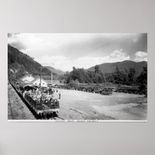 Poster Train de touristes du projet de Skagit