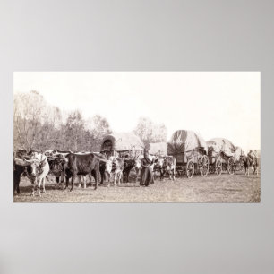 Poster TRAIN DE WAGON DE MARCHANDISES c. 1887