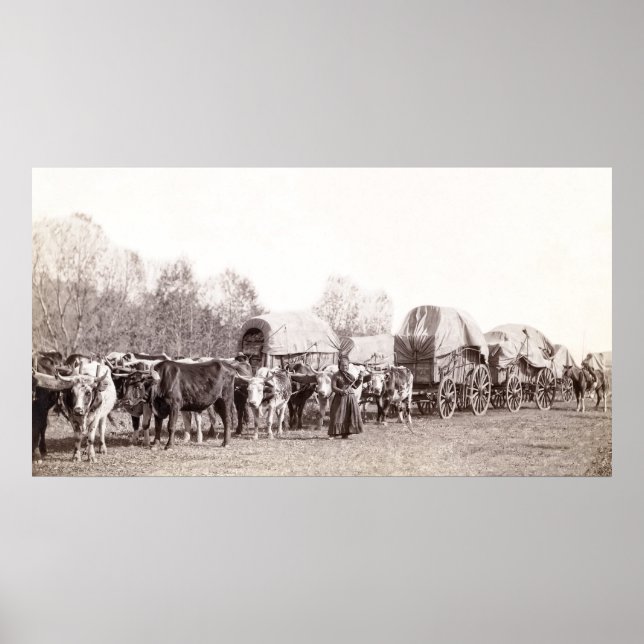 Poster TRAIN DE WAGON DE MARCHANDISES c. 1887 (Devant)