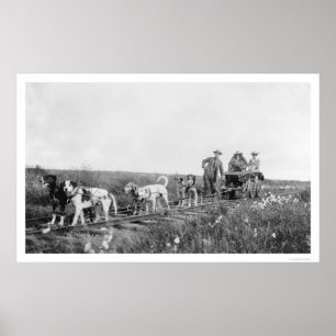Poster Train Nome, Alaska 1906 de Pupmobile