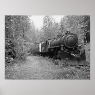 Poster Train retiré de vapeur