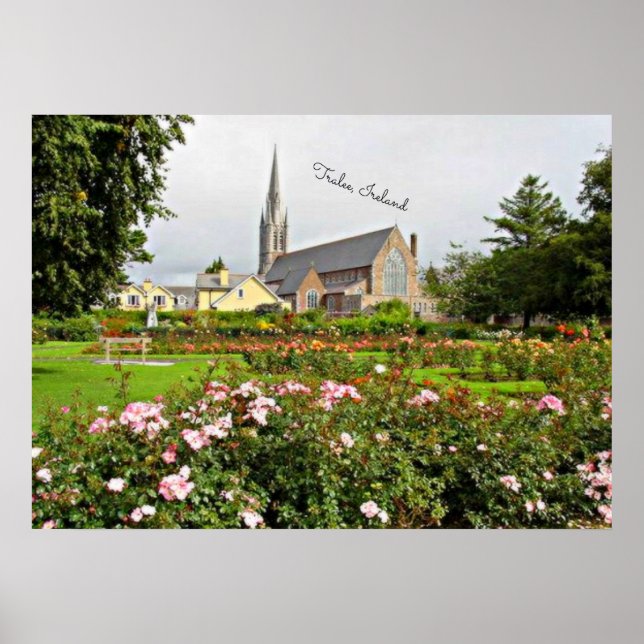 Poster Tralee, Irlande Rose Garden (Devant)