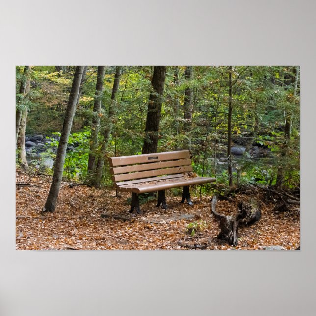 Poster Tranquil Forest Bench in Autumn (Devant)