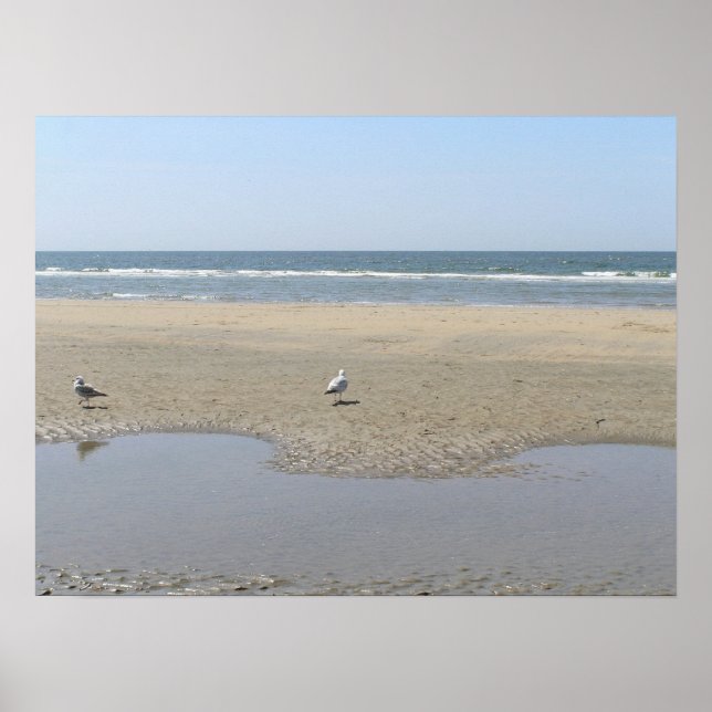 Poster Tranquillité (Devant)