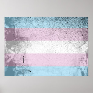 Poster TRANS ORIGINAL -.png