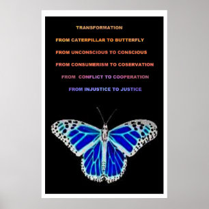 Poster Transformation