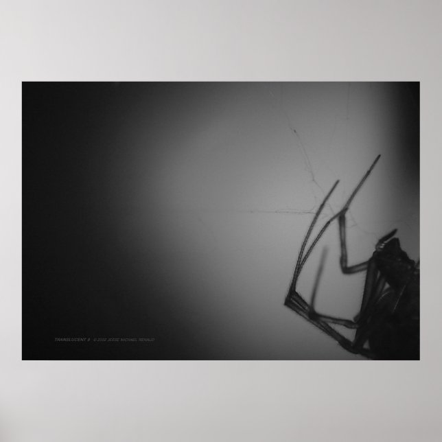 POSTER TRANSLUCENTE 8 (Devant)