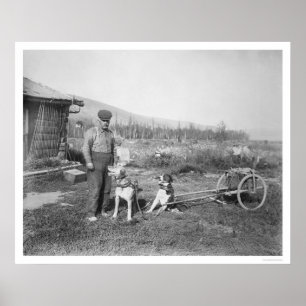 Poster Transport d'Alaska 1916 de chariot de chien