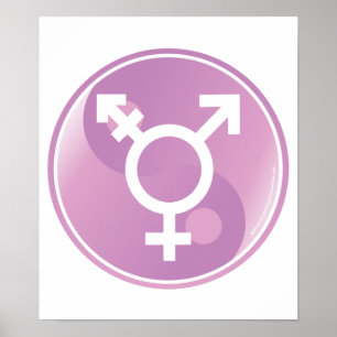 Poster Transsexuel Ying Yang