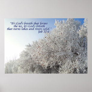 Poster Travail 37:6 Paysage hivernal inspirant