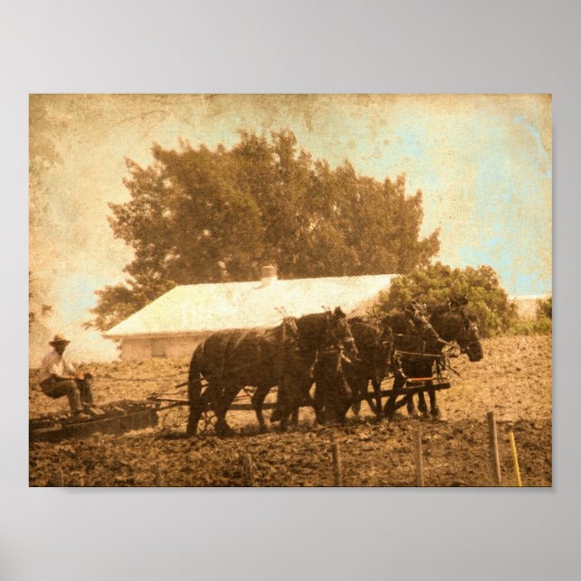 Poster Travail sur le terrain (Devant)