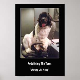 Poster "Travailler comme un chien"