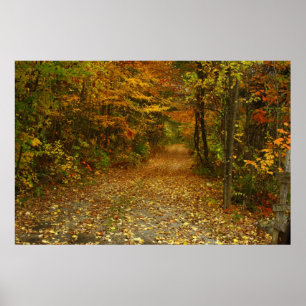 Poster Traveled The Road Less