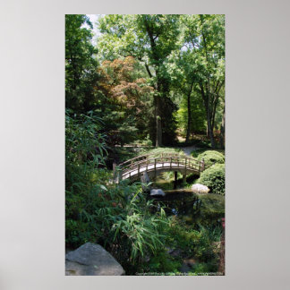 Poster Traversée du jardin