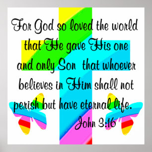 POSTER TRAVERSER ET BOUTETERFLY JOHN 3:16 CONCEPTION